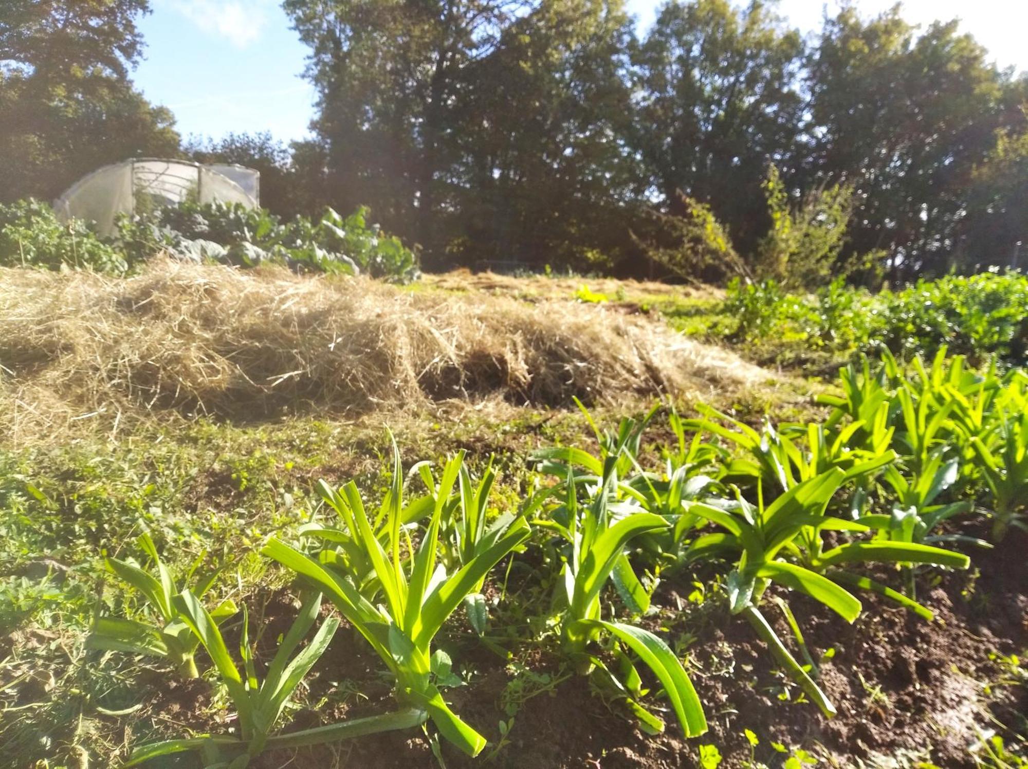 Tente Trappeur Ada, Au Jardin De La Vouivre Saint-Vincent-en-Bresse Exterior foto