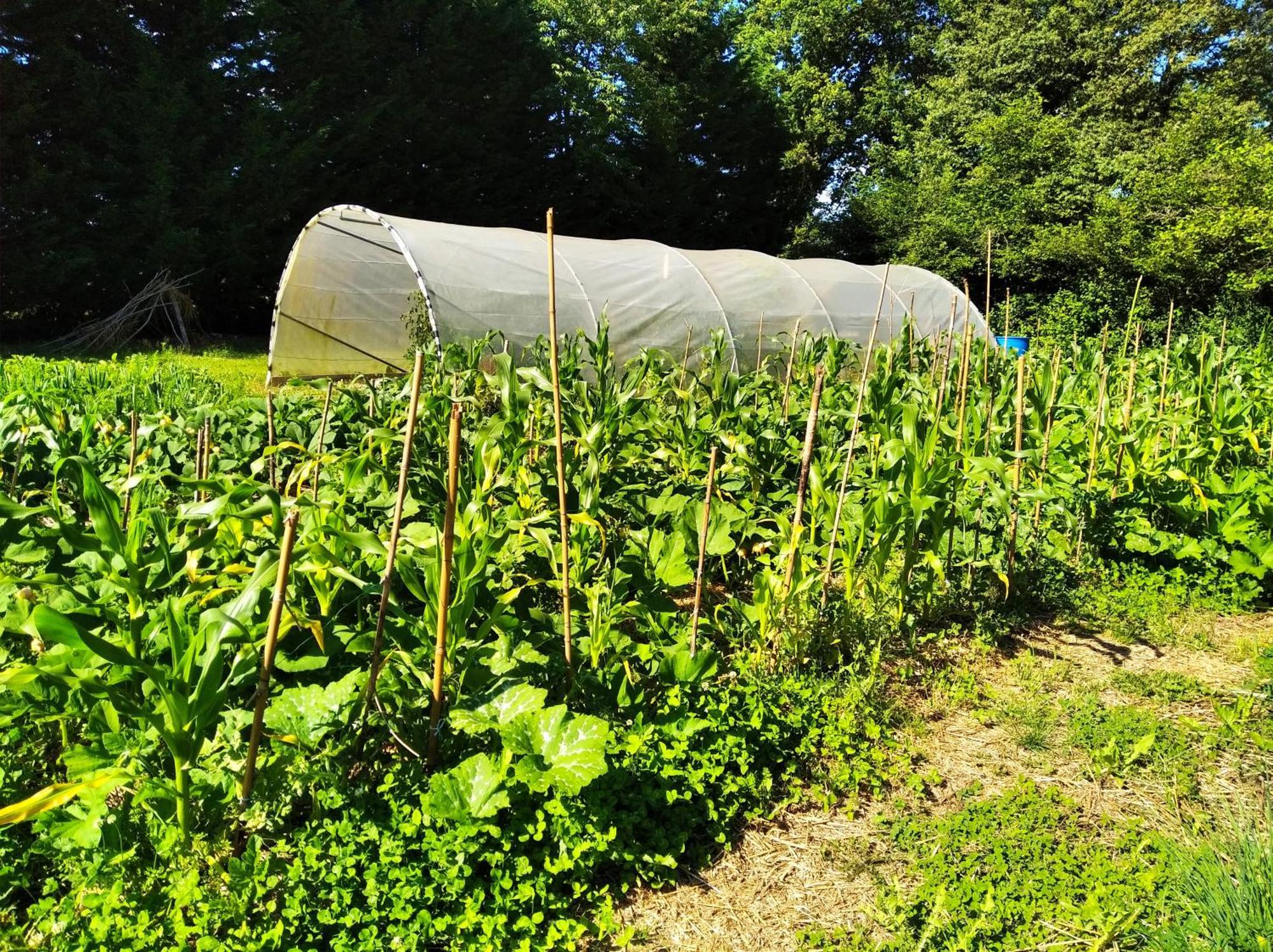 Tente Trappeur Ada, Au Jardin De La Vouivre Saint-Vincent-en-Bresse Exterior foto