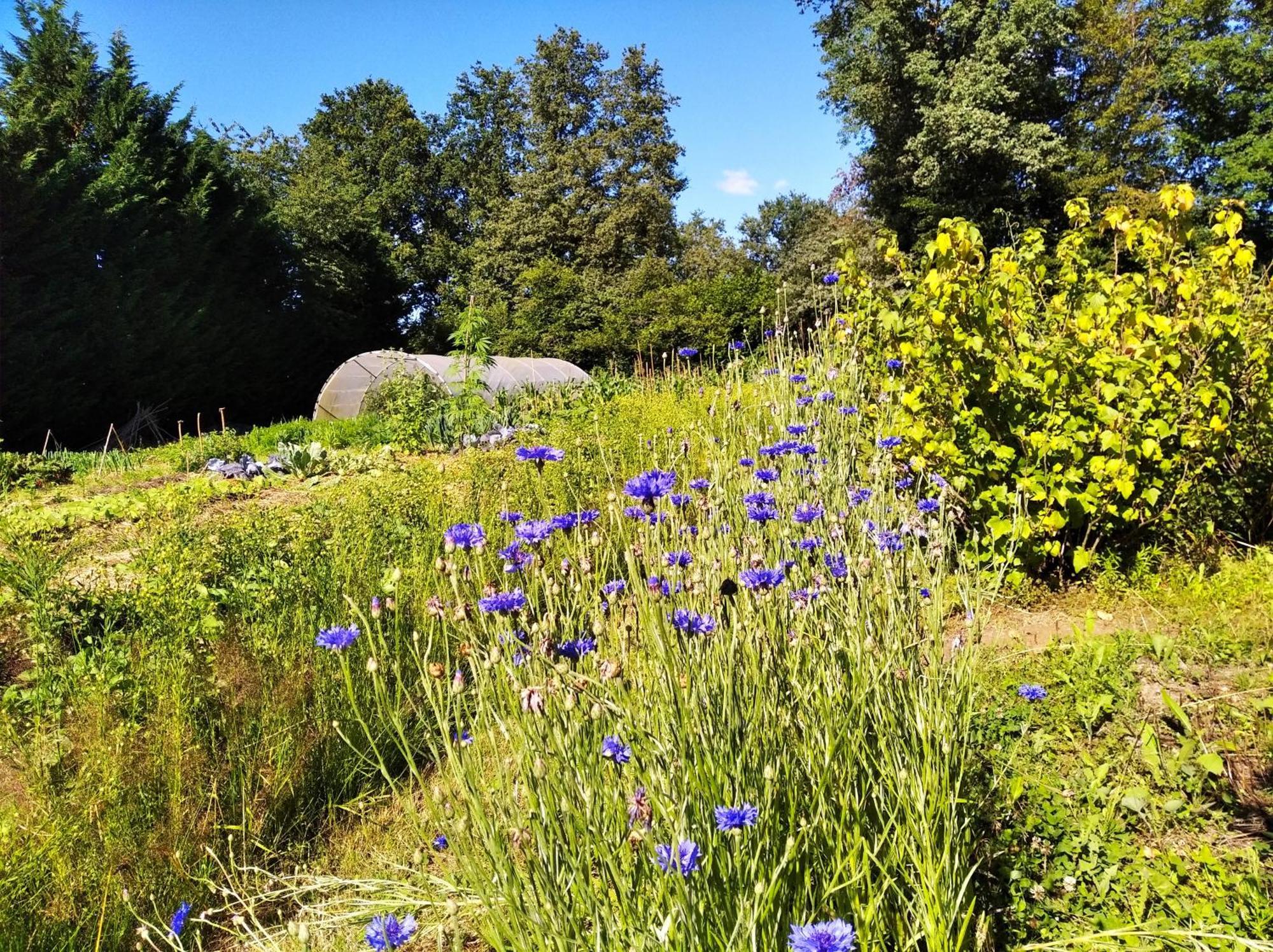 Tente Trappeur Ada, Au Jardin De La Vouivre Saint-Vincent-en-Bresse Exterior foto