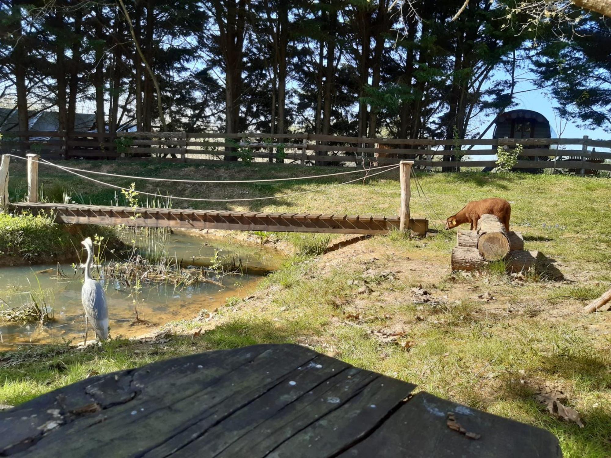 Tente Trappeur Ada, Au Jardin De La Vouivre Saint-Vincent-en-Bresse Exterior foto