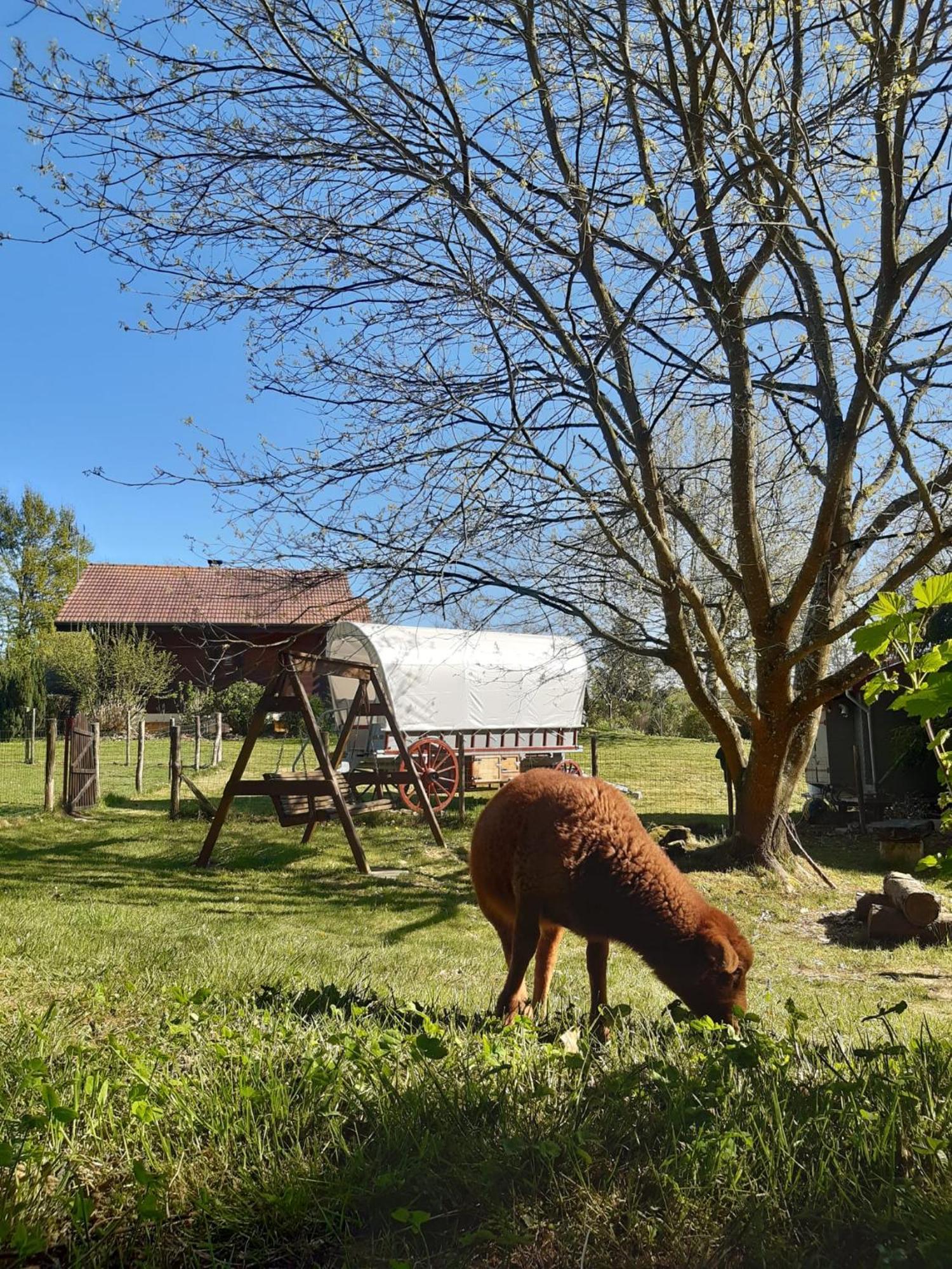 Tente Trappeur Ada, Au Jardin De La Vouivre Saint-Vincent-en-Bresse Exterior foto